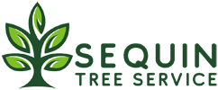 Sequin Tree Service